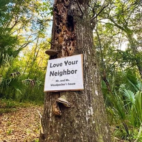 thumbnail for publication: Woodpecker Poles and Habitat Wood in Your Yard